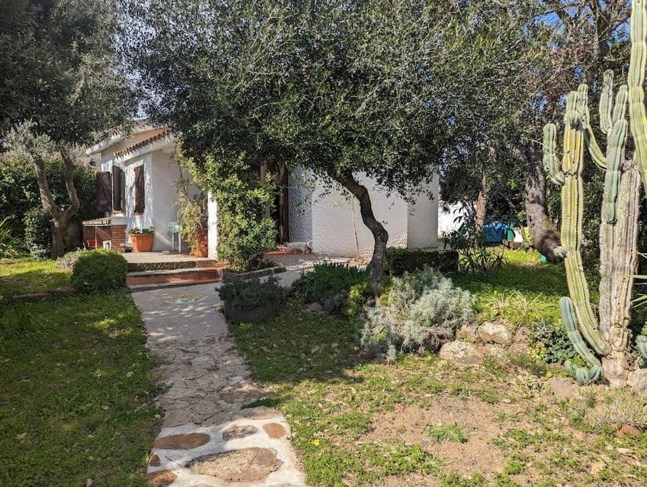 Cottage Familiare Sant'Agostino Abbasanta Ngoại thất bức ảnh